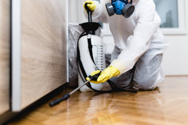 Wasp Removal Services in Marshalltown, IA