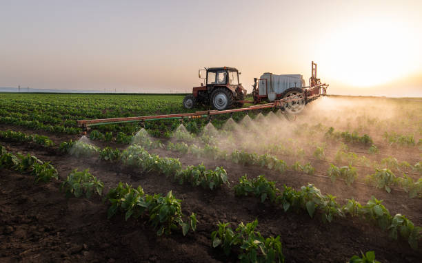 Best Pest Control for Businesses  in Marshalltown, IA