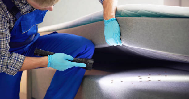 Professional Pest Control in Marshalltown, IA