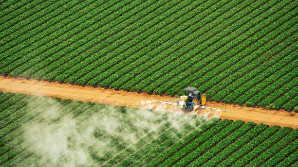 Best Mosquito Control Services  in Marshalltown, IA