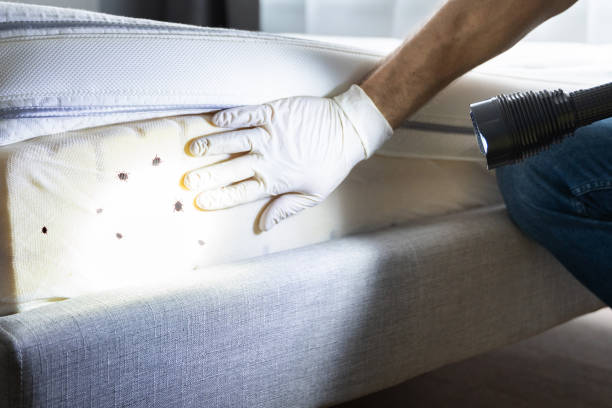 Best Residential Pest Control  in Marshalltown, IA