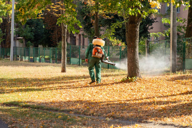Best Affordable Pest Control Services  in Marshalltown, IA