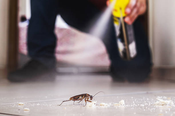 Best Pest Removal Services  in Marshalltown, IA