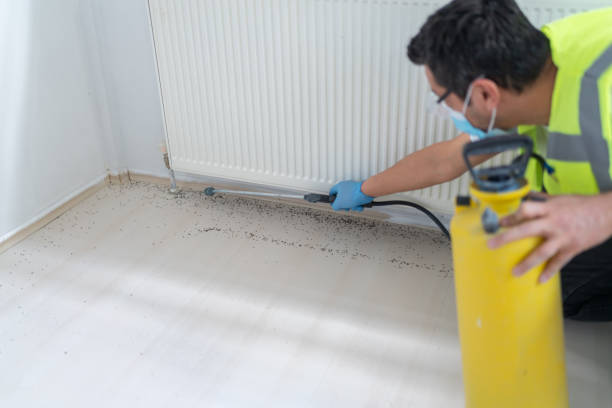 Best Flea Control Services  in Marshalltown, IA