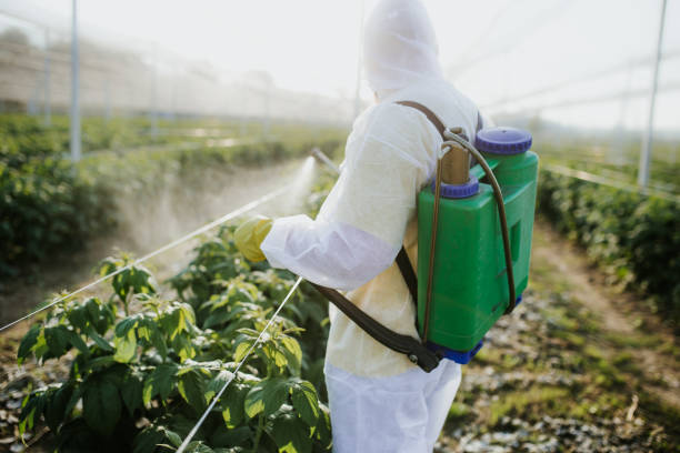 Best Ant Control Services  in Marshalltown, IA